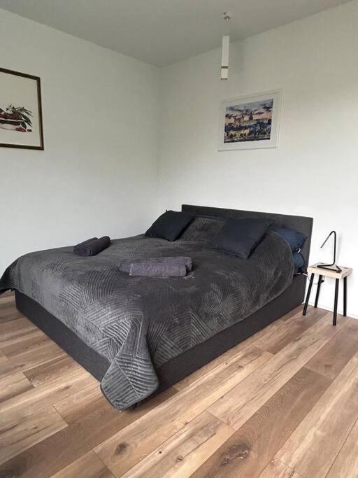 Apartament Stary Szczecin Eksteriør bilde