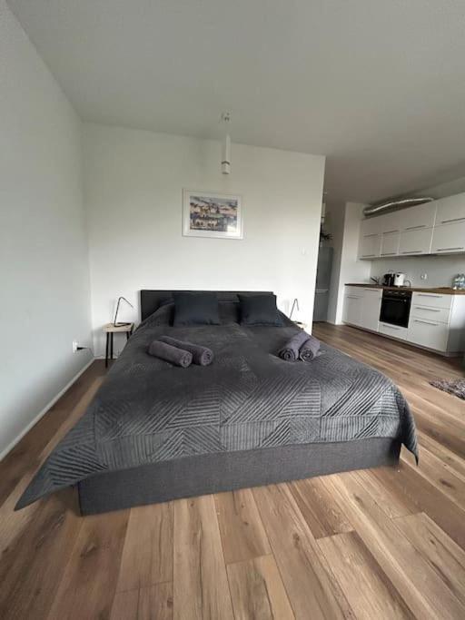 Apartament Stary Szczecin Eksteriør bilde